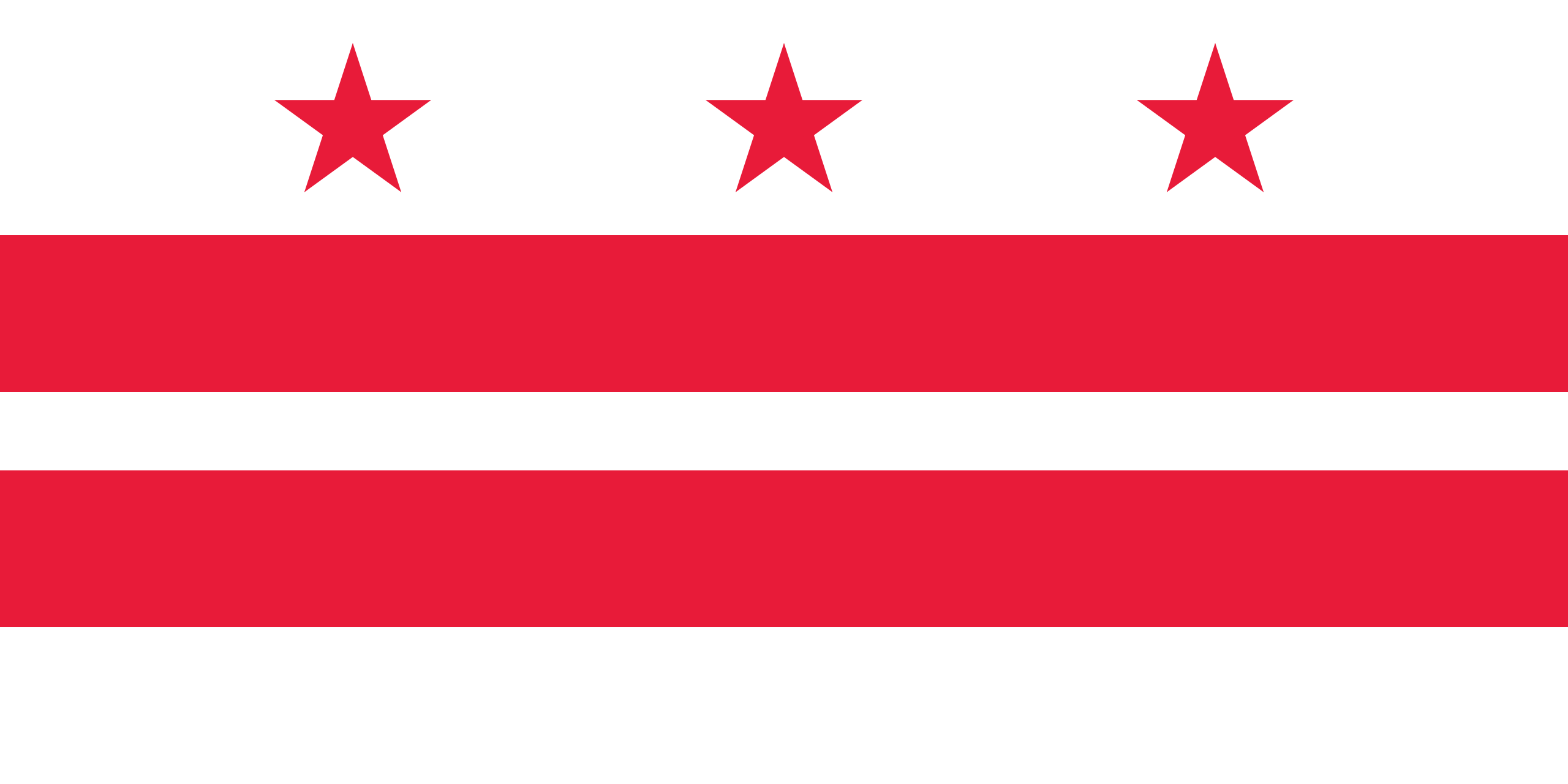 Washington D.C. Flag